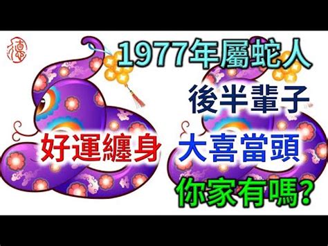 95年屬|【95屬什麼】95年是豬年嗎？1995年出生的人今年幾歲了？